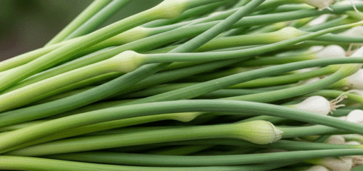 Laiškinis Česnakas: Viskas, Ką Reikia Žinoti Apie Šį Nepaprastą Augalą