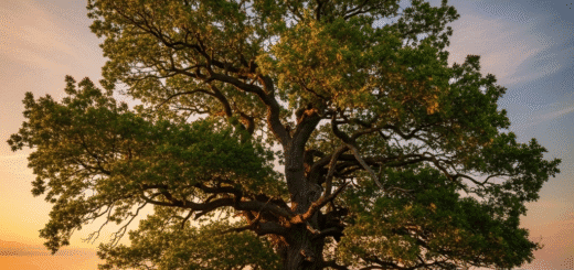Paprastasis ąžuolas: Lietuvos miškų karalius ir tautos stiprybės simbolis