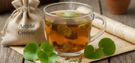 Azijinė Centelė (Gotu Kola) Arbata: Tūkstantmetė Atminties ir Jaunystės Žolė Jūsų Puodelyje
