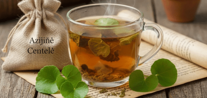 Azijinė Centelė (Gotu Kola) Arbata: Tūkstantmetė Atminties ir Jaunystės Žolė Jūsų Puodelyje